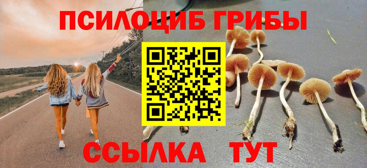 купить наркотик  Вход с VPN  Шахты  Галлюциногенные грибы GOLDEN TEACHER 