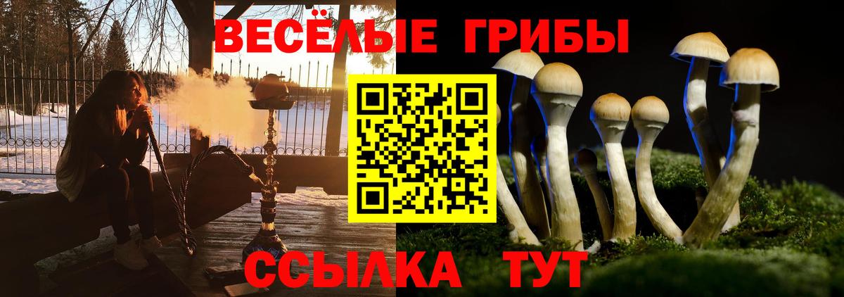 Галлюциногенные грибы GOLDEN TEACHER Шахты